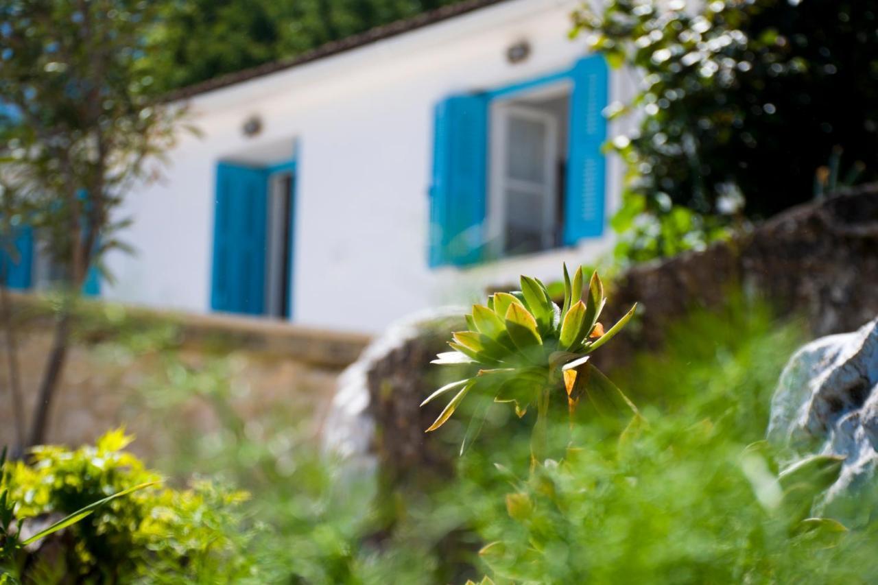 The Olive Cottage - Ithaca Вати Екстериор снимка